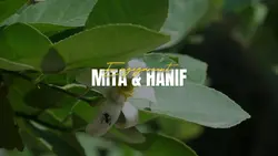 Tunangan 