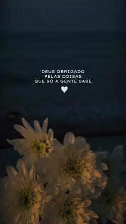 Gratidão Deus 
