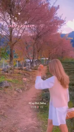 cherry blossom vlog