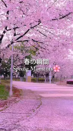 spring moments 