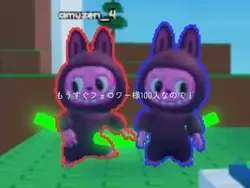 フォロワー様100人