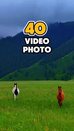 40 video or photo 