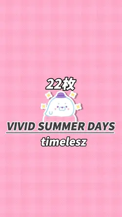 22枚 ビビサマ