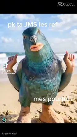 mes pourtoi 