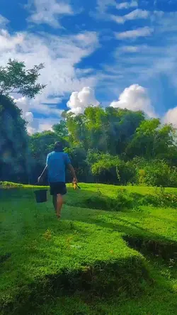 Nature