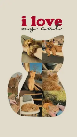 I love my cat🐈⬛