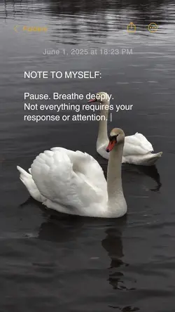 IPHONE NOTES QUOTES