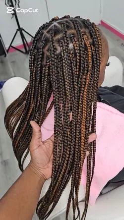 Braids Transform