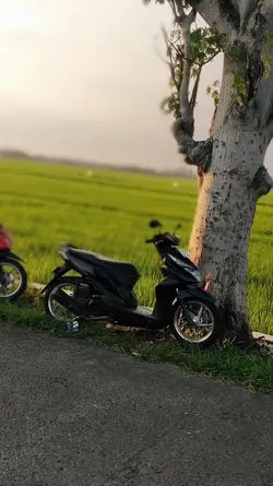 FENOMENA ALAM BARU