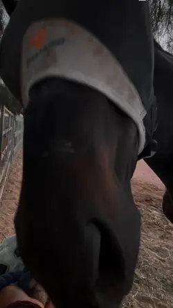 smokey loves his-
