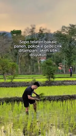 sopo telaten