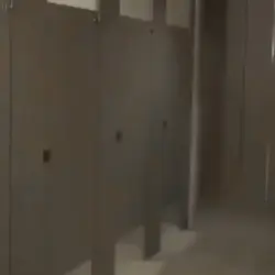 Bathroom meme