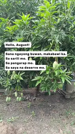 August
