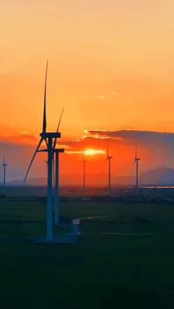 filter senja