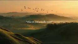 what do you want?
