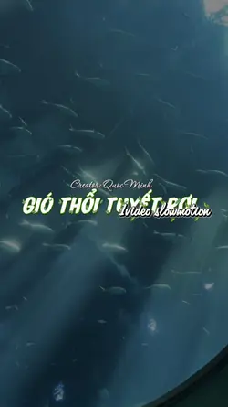 Gió thổi tuyết rơi