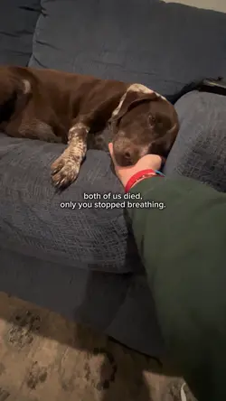 she died.
