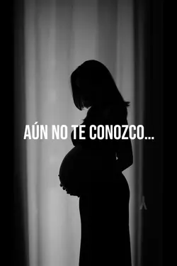 Embarazada premamá 
