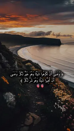 ﴿ وَعَسَى أَنْ تَكْرَهُوا شَيْئً