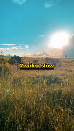 2 video slow