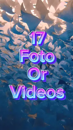 17 foto slides