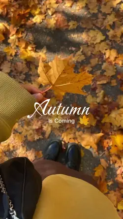 autumn is coming