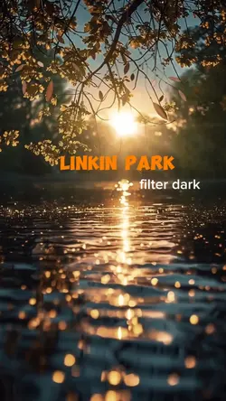 Linkin park|filter 