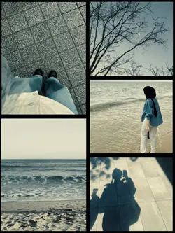 5 pics