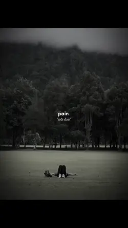 1 Ảnh ~ Màu