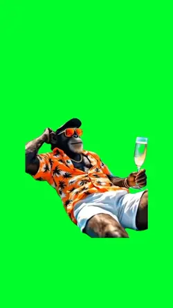 Ape on vacation