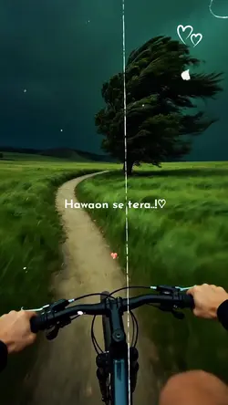 hawaon se tera