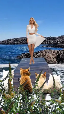 Sea Romantic 