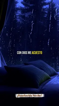 Bendecida noche 