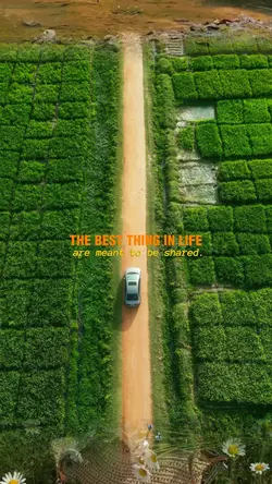Best thin