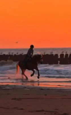 beach slowmo 🥹