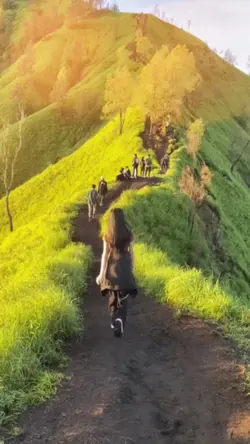 1 video 2 photo