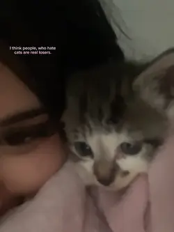 😻😻