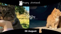 National cat day