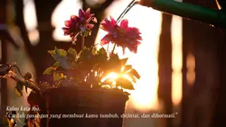 Tapi diterima 