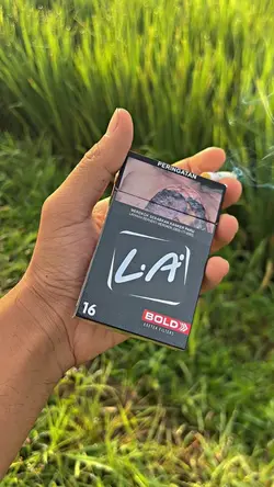 FILTER HD