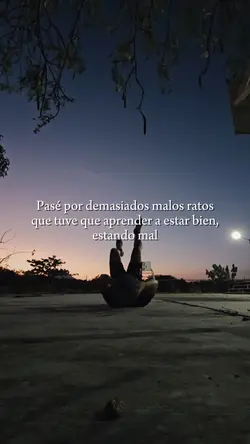 estamos bien mi bro