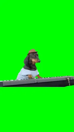 Dog Plays Piano