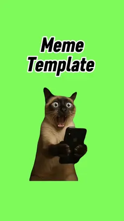 Cat reaction meme