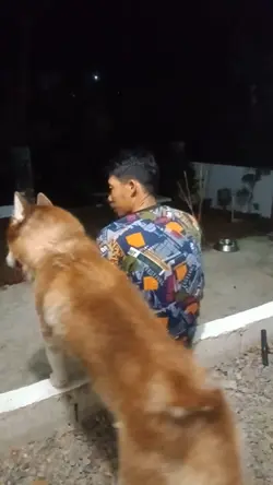 SLOWMO WITH MY DOG 