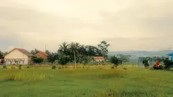 himawari - tatsuu