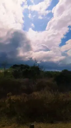 cinematic