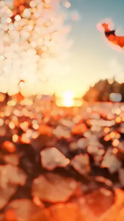 Aesthetic slowmotion