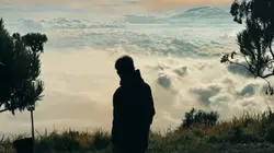 Cinematic vibes 