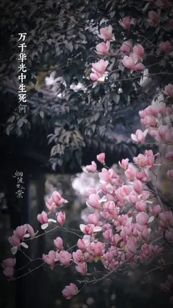 [1]BÍCH THƯỢNG QUAN
