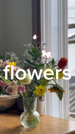 🌺 flowers